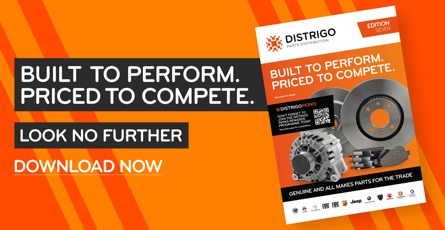 Distrigo Newsletter - Edition 7